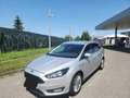 Ford Focus Focus 1.5 TDCi / carnet Ford/ 1 propriétaire Grigio - thumbnail 1