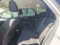 Ford Focus Focus 1.5 TDCi / carnet Ford/ 1 propriétaire Grigio - thumbnail 11