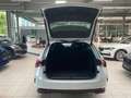 Skoda Octavia Combi RS 2.0 TDI DSG Canton Pano Navi Weiß - thumbnail 9