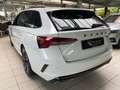 Skoda Octavia Combi RS 2.0 TDI DSG Canton Pano Navi Weiß - thumbnail 10