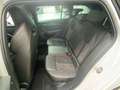 Skoda Octavia Combi RS 2.0 TDI DSG Canton Pano Navi Weiß - thumbnail 13