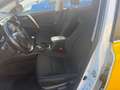 Toyota RAV 4 2,0-l-D-4D 4x4 Executive *LKW 2Sitze* Blanc - thumbnail 14