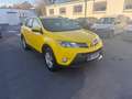 Toyota RAV 4 2,0-l-D-4D 4x4 Executive *LKW 2Sitze* Blanco - thumbnail 2