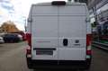 Fiat Ducato 2,2d Kasten L2H2 KAM/TEMP/KLIMA/ASSIST Weiß - thumbnail 23