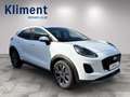 Ford Puma 1,0 EcoBoost Hybrid Titanium Weiß - thumbnail 5