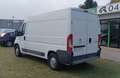 Peugeot Boxer 2.0 D - più IVA Blanc - thumbnail 4