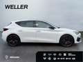 CUPRA Leon 2.0 TSI DSG VZ *LED*Pano*Beats*CAM*ACC*DCC* Weiß - thumbnail 10