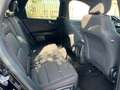 Ford Kuga Kuga III 2020 1.5 ecoblue ST-Line 2wd 120cv auto Nero - thumbnail 15