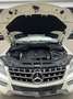 Mercedes-Benz ML 350 FULLY LOADED-4MATIC-ONLY FOR EXPORT OUT OF EUROPE Blanc - thumbnail 25