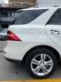 Mercedes-Benz ML 350 FULLY LOADED-4MATIC-ONLY FOR EXPORT OUT OF EUROPE Blanc - thumbnail 23