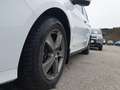 Ford Galaxy 2,0 EcoBlue SCR AWD Titanium Aut. Biały - thumbnail 2