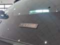 Lancia Ypsilon 1.0 firefly hybrid Gold s KM/0 IN PRONTA CONSEGNA Verde - thumbnail 12