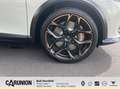 CUPRA Formentor VZ5 Edition Taiga 2.5TSI 4Drive DSG Gris - thumbnail 11