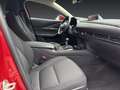 Mazda CX-30 2.0L e-Skyactiv G Exclusive-Line Rot - thumbnail 11