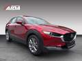 Mazda CX-30 2.0L e-Skyactiv G Exclusive-Line Rot - thumbnail 5
