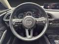 Mazda CX-30 2.0L e-Skyactiv G Exclusive-Line Rot - thumbnail 12