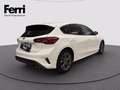 Ford Focus 1.5 ecoblue ST-Line X 120cv auto Bianco - thumbnail 4