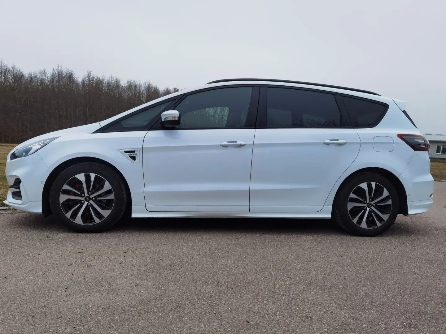 Ford S-Max S-MAX ST-Line Blanc - 2