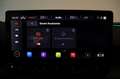 CUPRA Formentor VZ 2,0 TSI 4Drive DSG MEMORY KEY KAMERA VOLL Grau - thumbnail 37