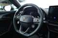 CUPRA Formentor VZ 2,0 TSI 4Drive DSG MEMORY KEY KAMERA VOLL Grau - thumbnail 23