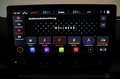 CUPRA Formentor VZ 2,0 TSI 4Drive DSG MEMORY KEY KAMERA VOLL Grau - thumbnail 41