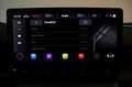 CUPRA Formentor VZ 2,0 TSI 4Drive DSG MEMORY KEY KAMERA VOLL Grau - thumbnail 40