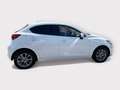 Mazda 2 2 1.5 m-hybrid Exclusive 90cv Bianco - thumbnail 6