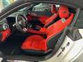 Mercedes-Benz SL 43 AMG Night II Sound/360°/Distr./Aerodynamik Weiß - thumbnail 12