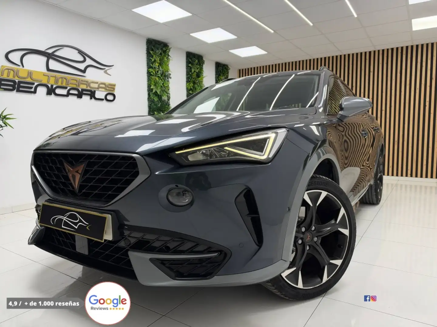 CUPRA Formentor 2.0 TDI 150 Gris - 2