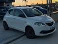 Lancia Ypsilon Ypsilon 1.0 firefly hybrid Gold Plus s Bianco - thumbnail 2