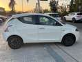 Lancia Ypsilon Ypsilon 1.0 firefly hybrid Gold Plus s Bianco - thumbnail 4
