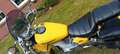 Suzuki LS 650 Amarillo - thumbnail 8