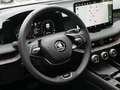 Skoda Superb Combi TDI 2.0 TDI L&K PANO MATRIX-LED Schwarz - thumbnail 20