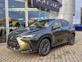 Lexus NX 450h+ Executive 4X4 Inter.- Techn.-Paket Зелений - thumbnail 1
