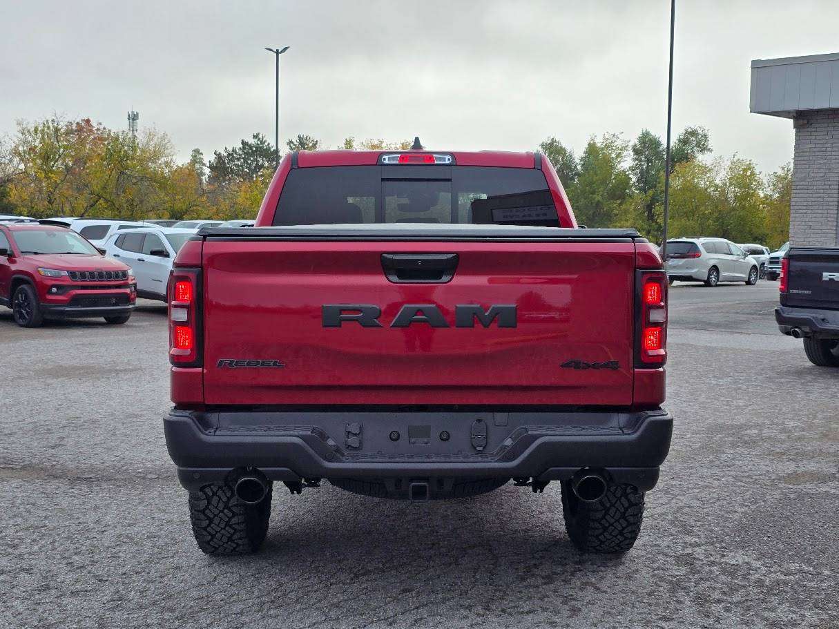 Image 5