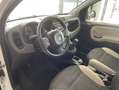 Fiat Panda Panda 0.9 t.air turbo 4x4 85cv E6 Weiß - thumbnail 19