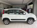 Fiat Panda Panda 0.9 t.air turbo 4x4 85cv E6 Weiß - thumbnail 4
