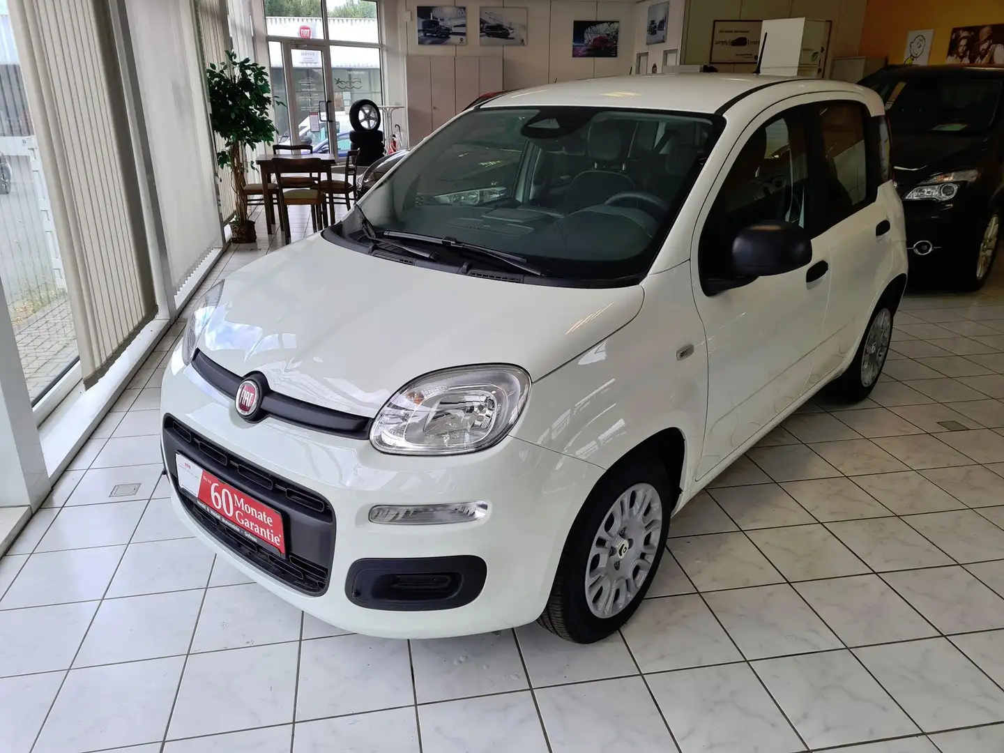 Fiat Panda Panda 1.0 GSE Hybrid Parkpilot Blanc - 1