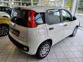 Fiat Panda Panda 1.0 GSE Hybrid Parkpilot Blanc - thumbnail 4