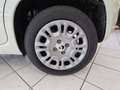 Fiat Panda Panda 1.0 GSE Hybrid Parkpilot Blanc - thumbnail 18