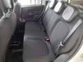 Fiat Panda Panda 1.0 GSE Hybrid Parkpilot Blanc - thumbnail 9