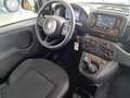 Fiat Panda Panda 1.0 GSE Hybrid Parkpilot Blanc - thumbnail 11