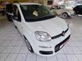 Fiat Panda Panda 1.0 GSE Hybrid Parkpilot Blanc - thumbnail 3