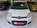 Fiat Panda Panda 1.0 GSE Hybrid Parkpilot Blanc - thumbnail 5