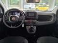 Fiat Panda Panda 1.0 GSE Hybrid Parkpilot Blanc - thumbnail 6