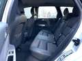 Volvo V50 2.4i 170 PK Exclusive|1e eig|Dealer onderhouden|Au Grijs - thumbnail 19