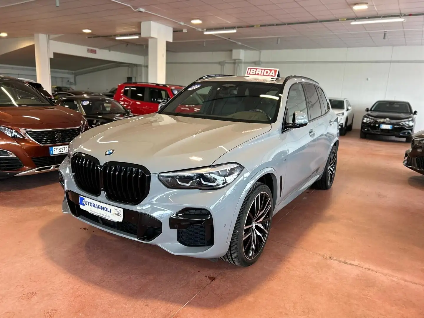 BMW X5 xDrive40d MSPORT 48V GAR. 4 ANNI Gris - 1