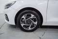 Hyundai i30 1.0 TGDI Klass 48V 100 Blanco - thumbnail 11