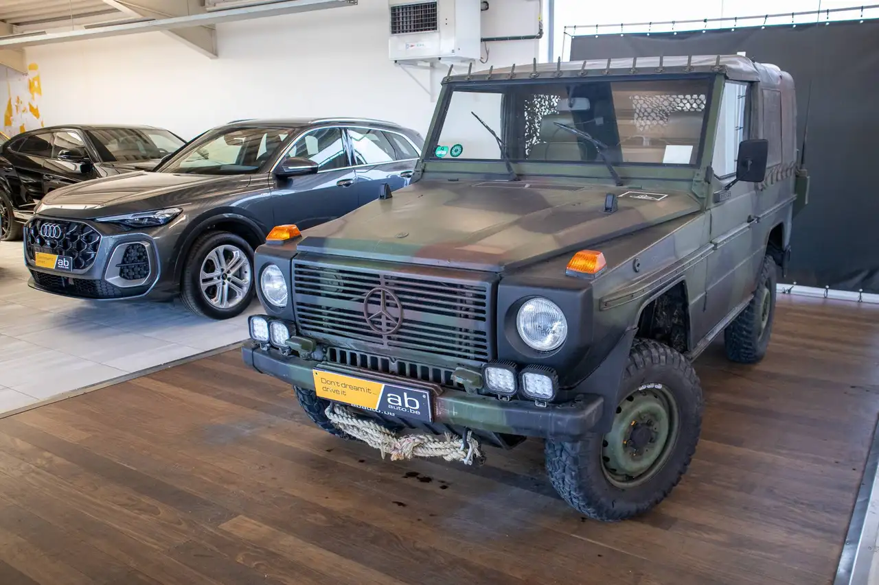 Mercedes-Benz G 250 GD Cabriolet 4x4 W461 WOLF, foto 2