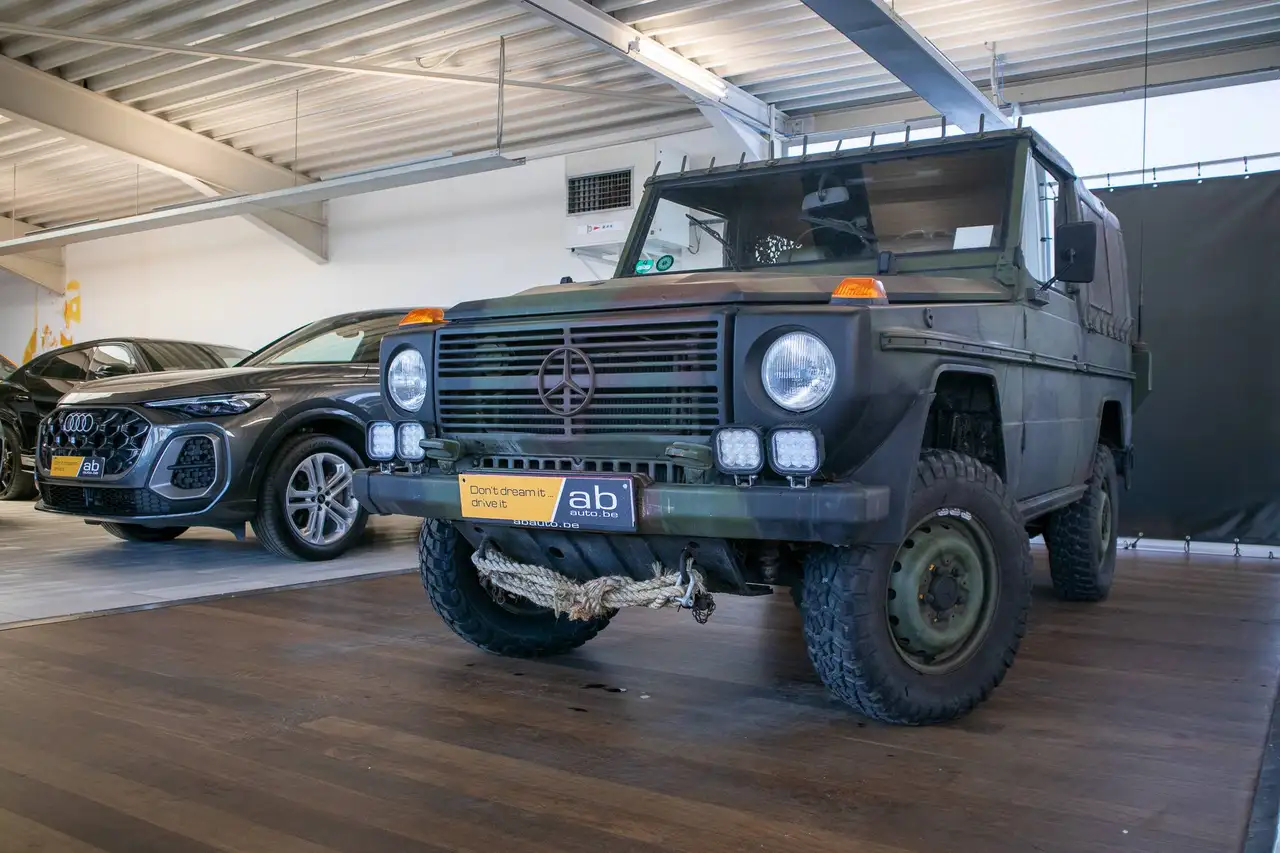 Mercedes-Benz G 250 GD Cabriolet 4x4 W461 WOLF, foto 1